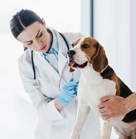 Gürgentepe Veteriner