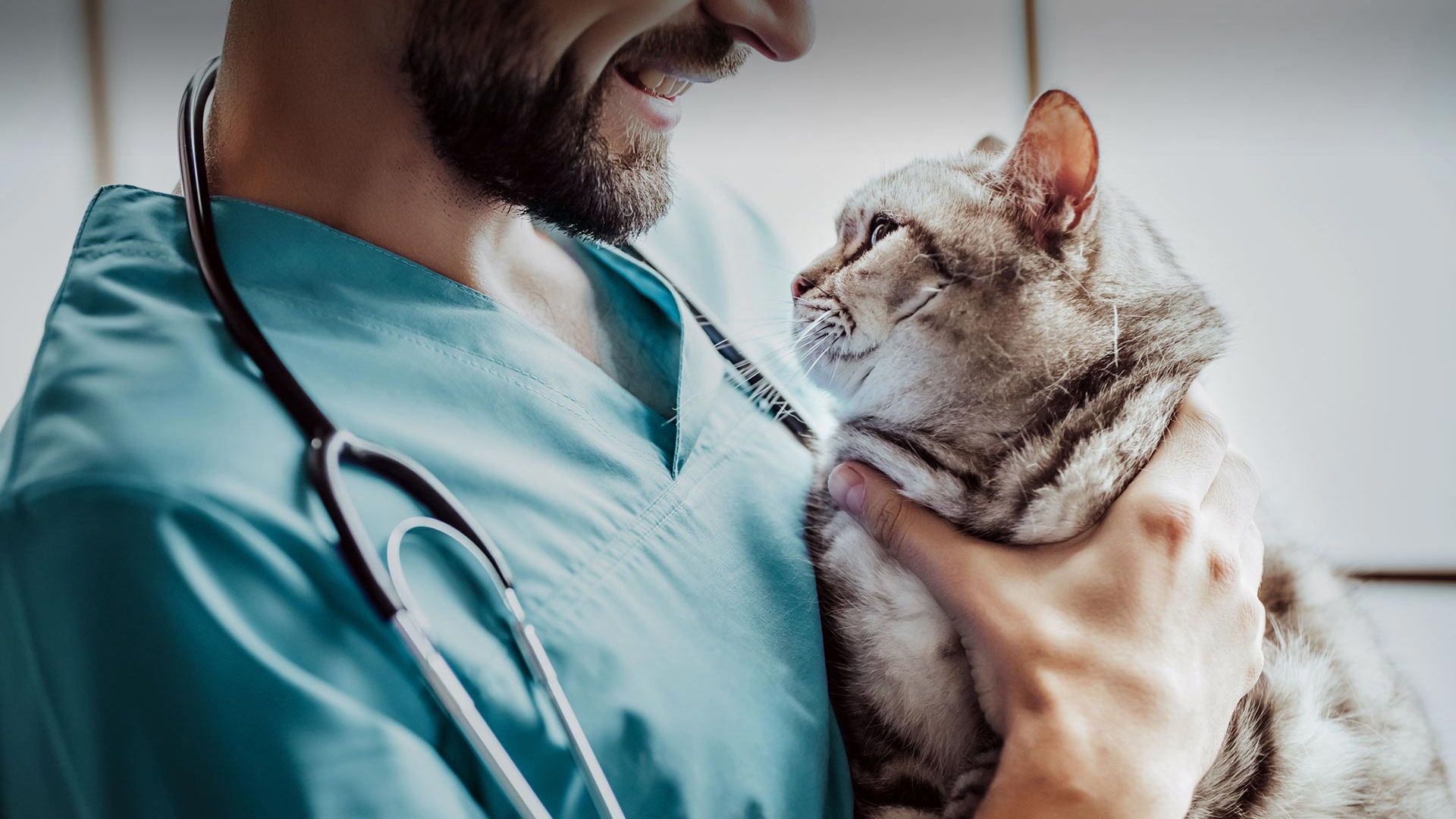 Gürgentepe Veteriner